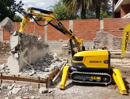 desratización previo a demolición