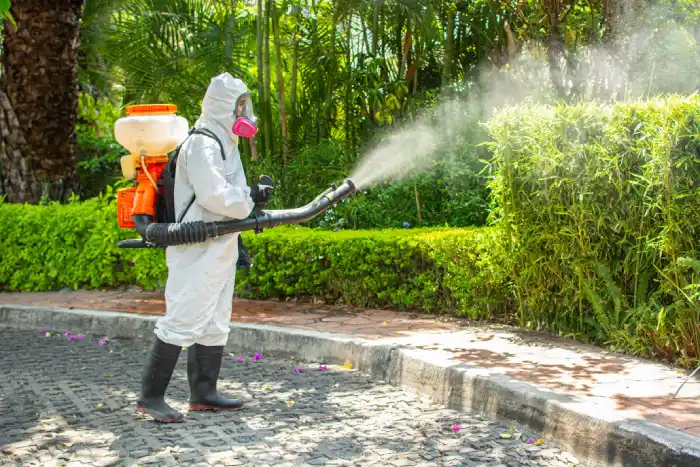 fumigación de arboles y jardines