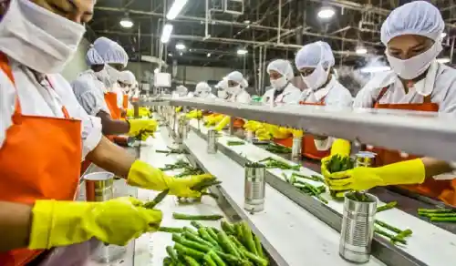 control de plagas en industria alimentaria